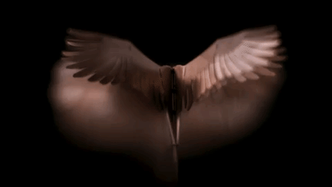 Copper in motion 2
