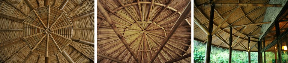 Naked Gallery Ecological Creation Technology By Xiaohui Design Studio