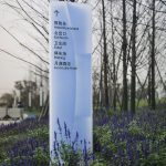 水边的阿狄丽娜—郑州月湖公园导示设计 / 图石设计
