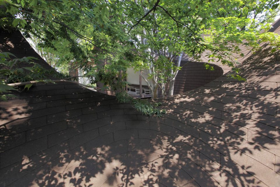 roku museum1