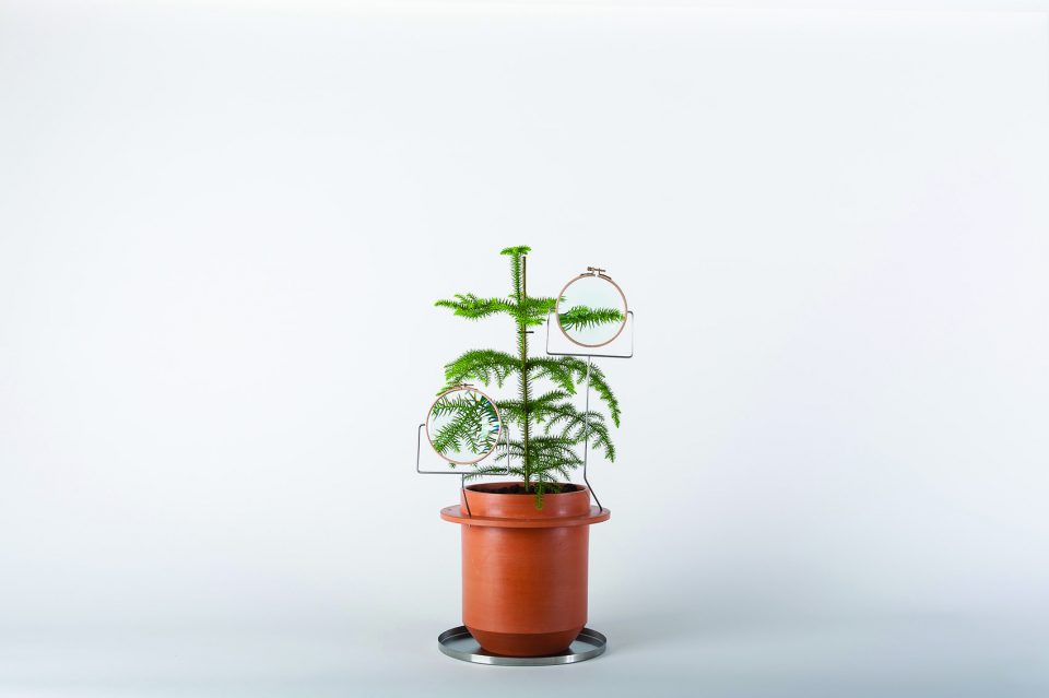 The Phytophiler By Dossofiorito