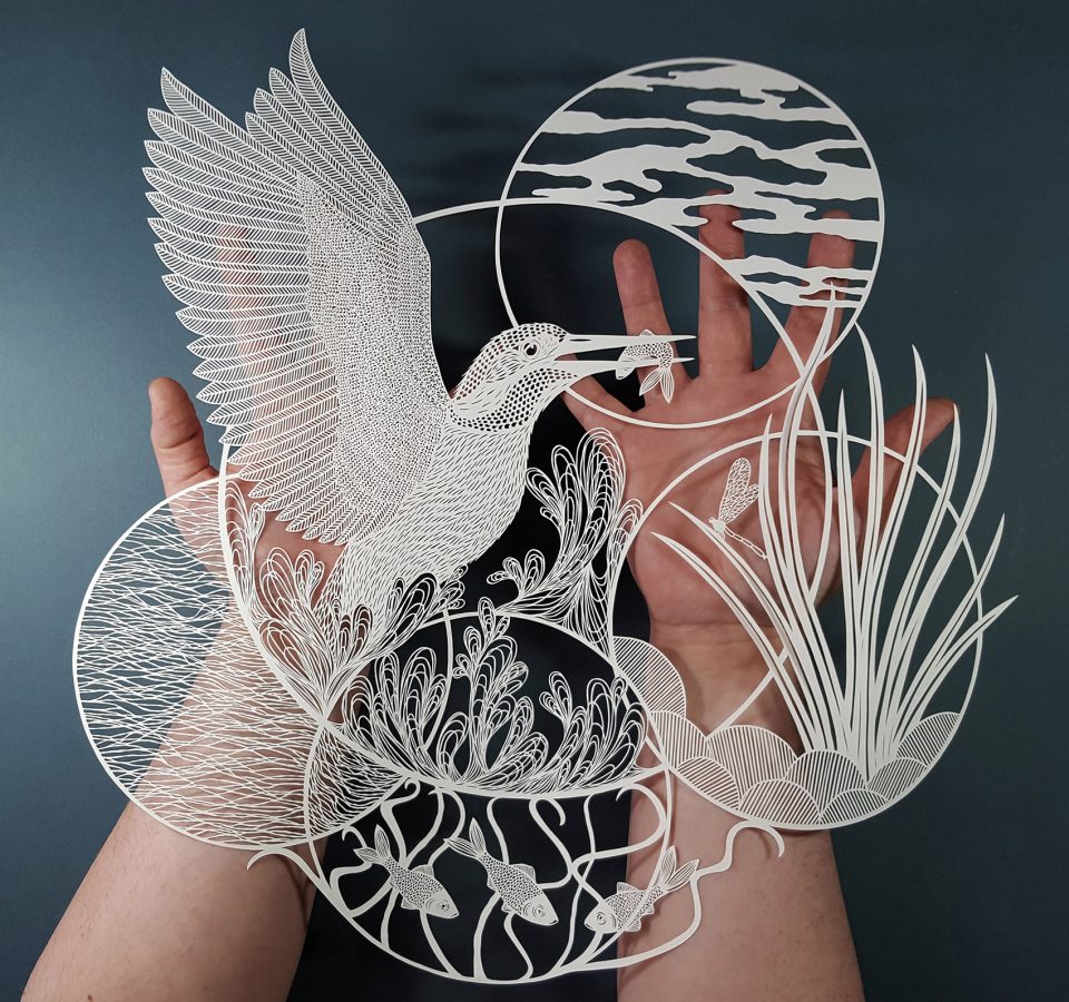 Pippa Dyrlaga kingfisher 2017