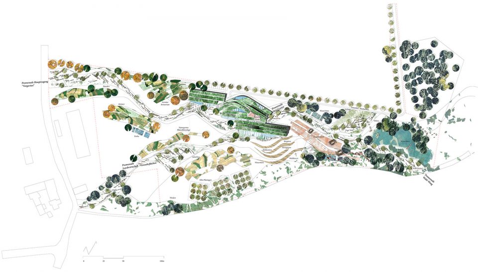 Artenoah Rehau Masterplan