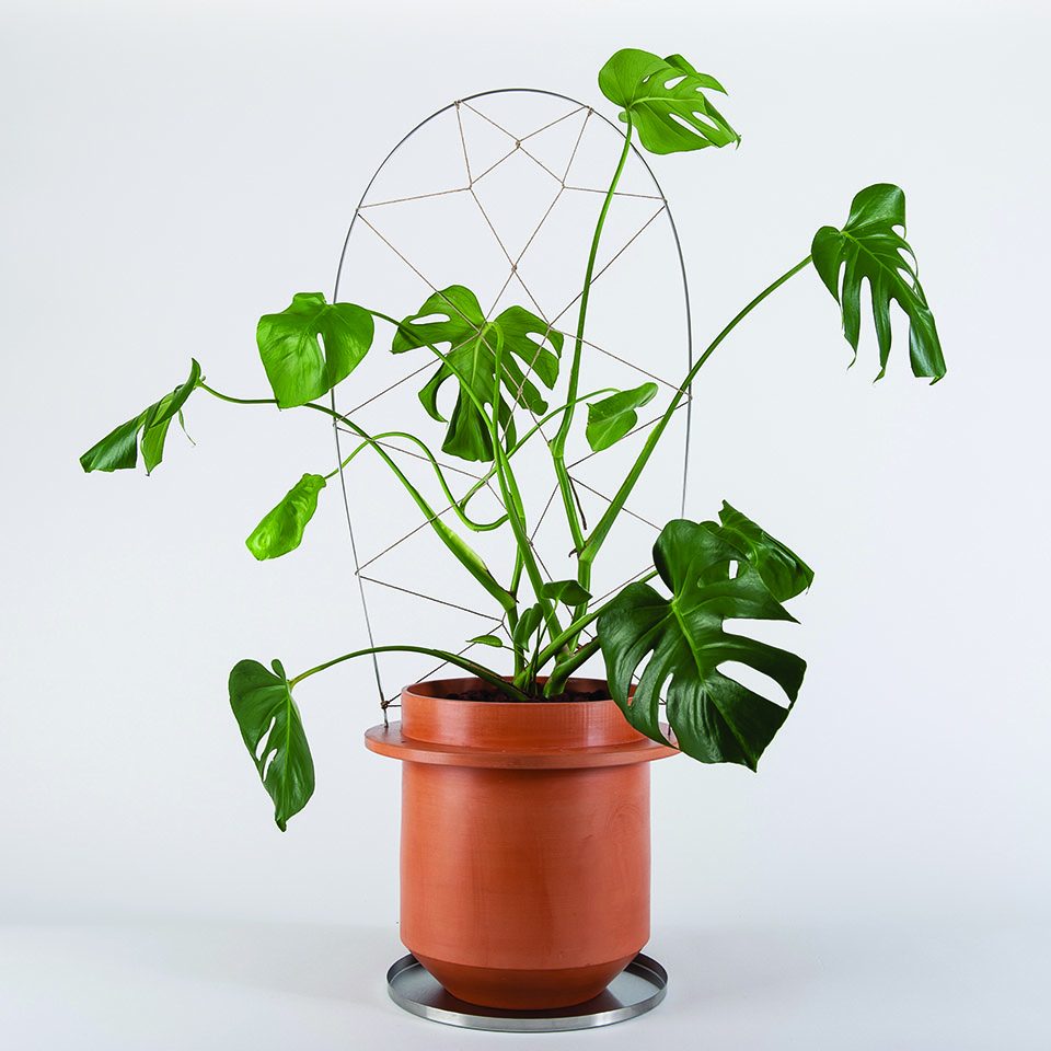 The Phytophiler By Dossofiorito