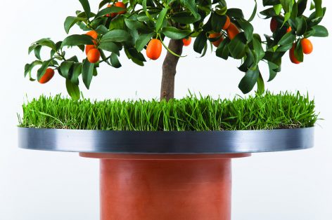 The Phytophiler By Dossofiorito
