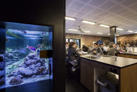 Albert Park College Environmental Arts Hub