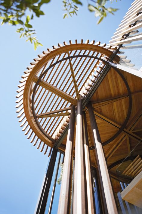 Malan Vorster Treehouse