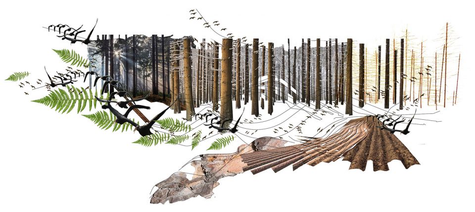Artenoah Rehau Facade Collage