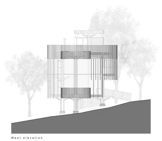 Malan Vorster Treehouse