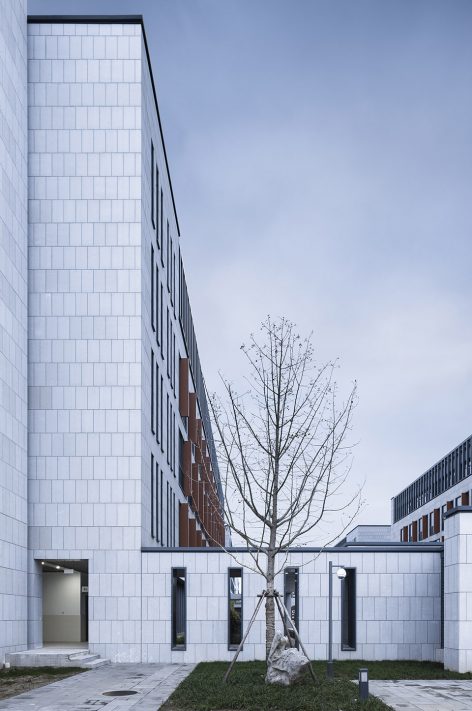 庭院 摄影师 姚力 泰州中学 SCUT