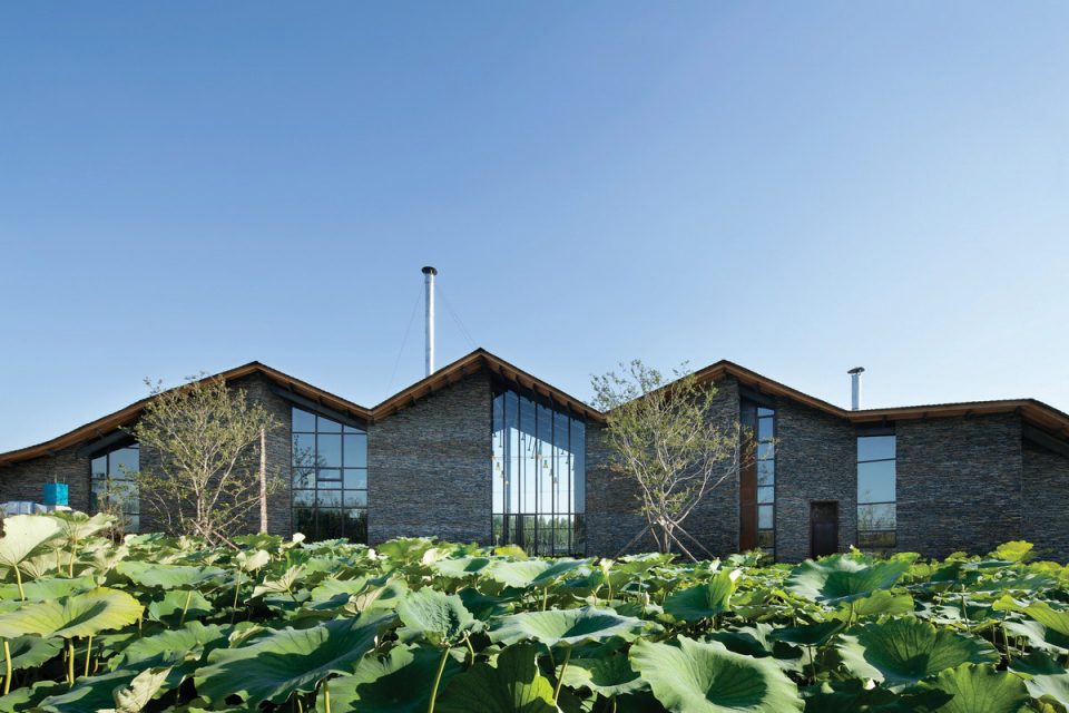 荷塘上的会所 Lanshi Xidi Clubhouse Wang Cai Associates