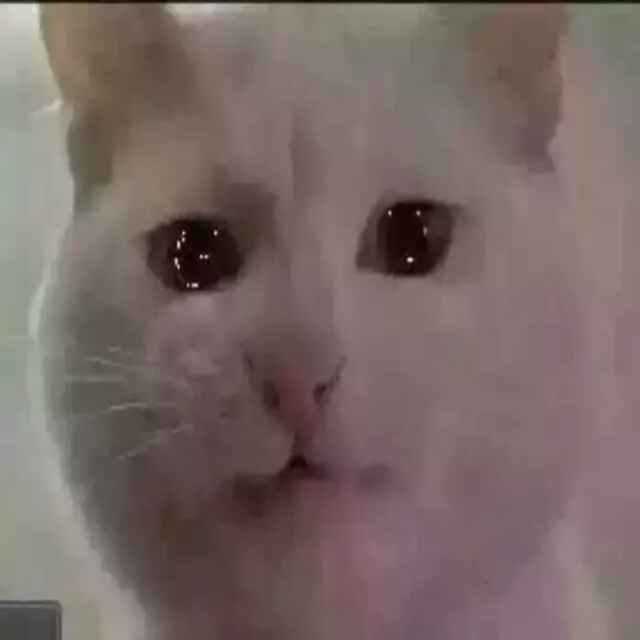 5 1