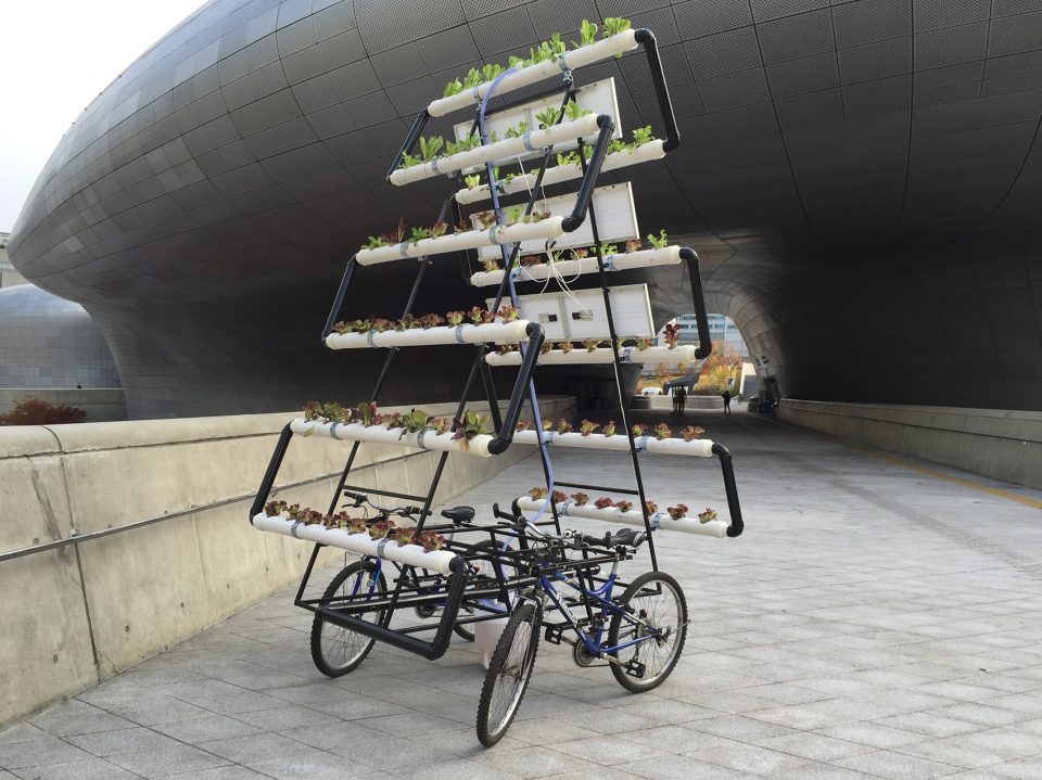 Bike Share Farm By PAO
