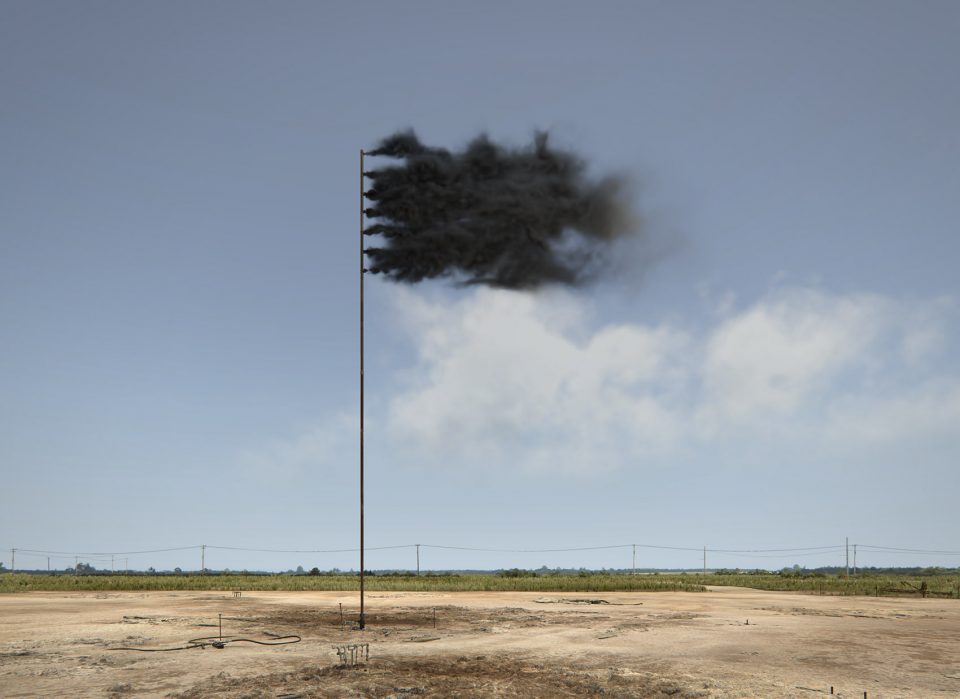 Western Flag By John Gerrard