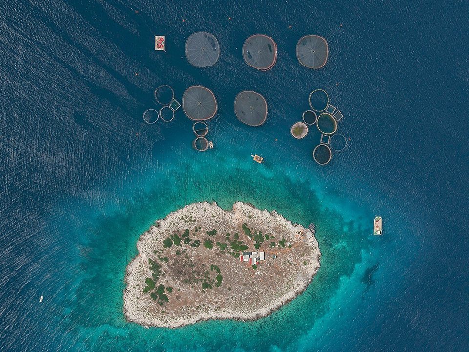 Aerial views of Fish Farms By Bernhard Lang
