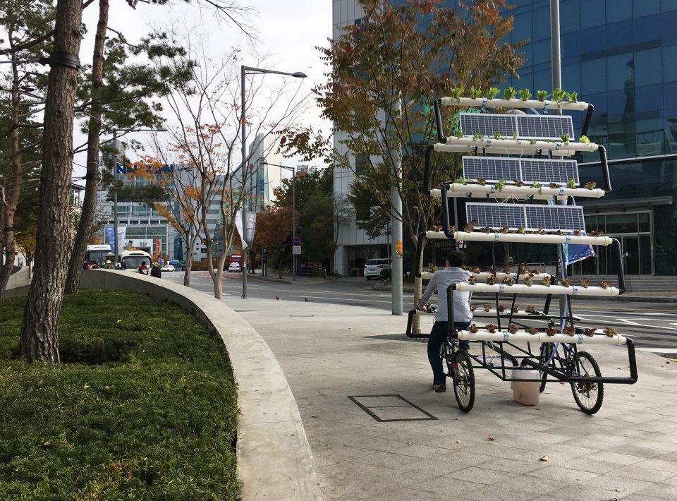 Bike Share Farm By PAO