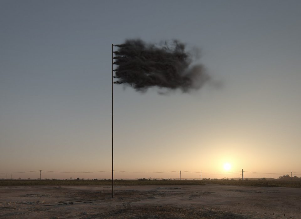 Western Flag By John Gerrard