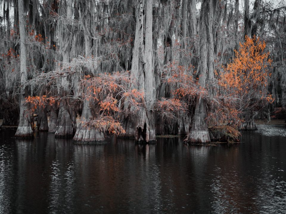 south by codycobb