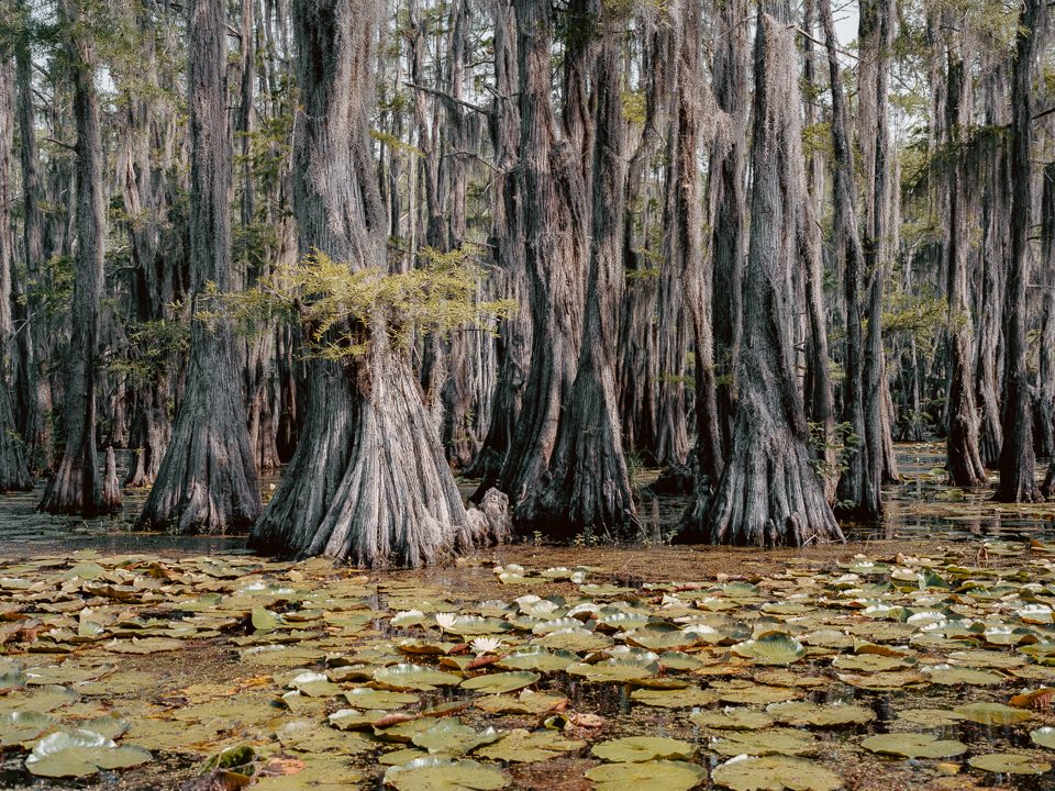 south by codycobb