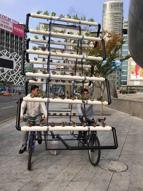 Bike Share Farm By PAO