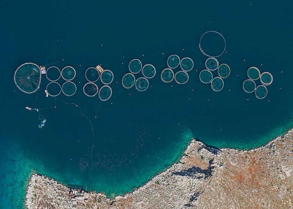 Aerial views of Fish Farms By Bernhard Lang