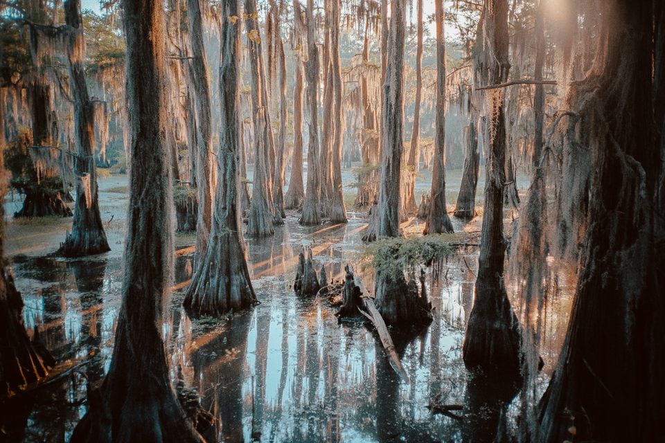 south by codycobb