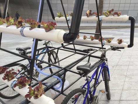 Bike Share Farm By PAO