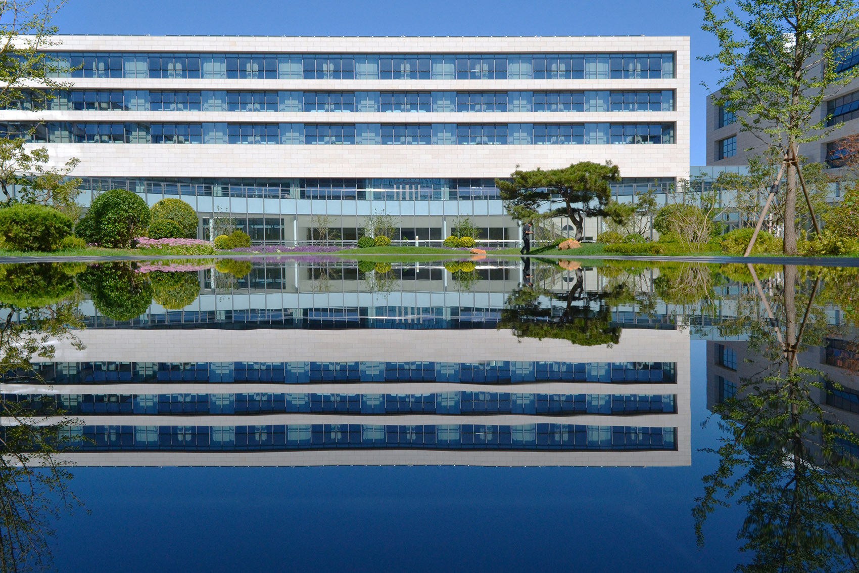 泰康商学院中心庭院 / 房木生景观