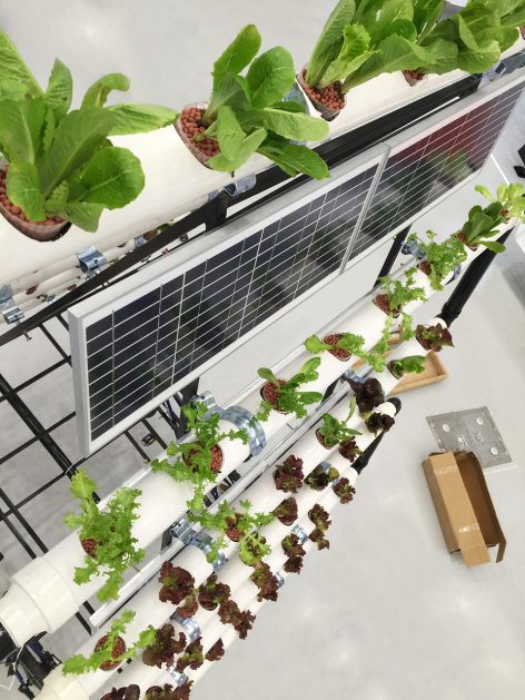 Bike Share Farm By PAO