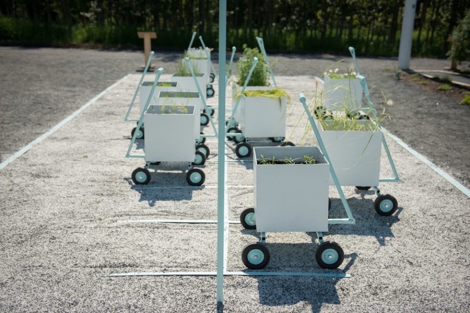 The 18th Edition of the International Garden Festival By Reford Gardens