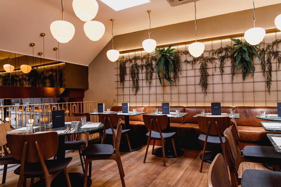 Señor Ceviche By A nrd Studio