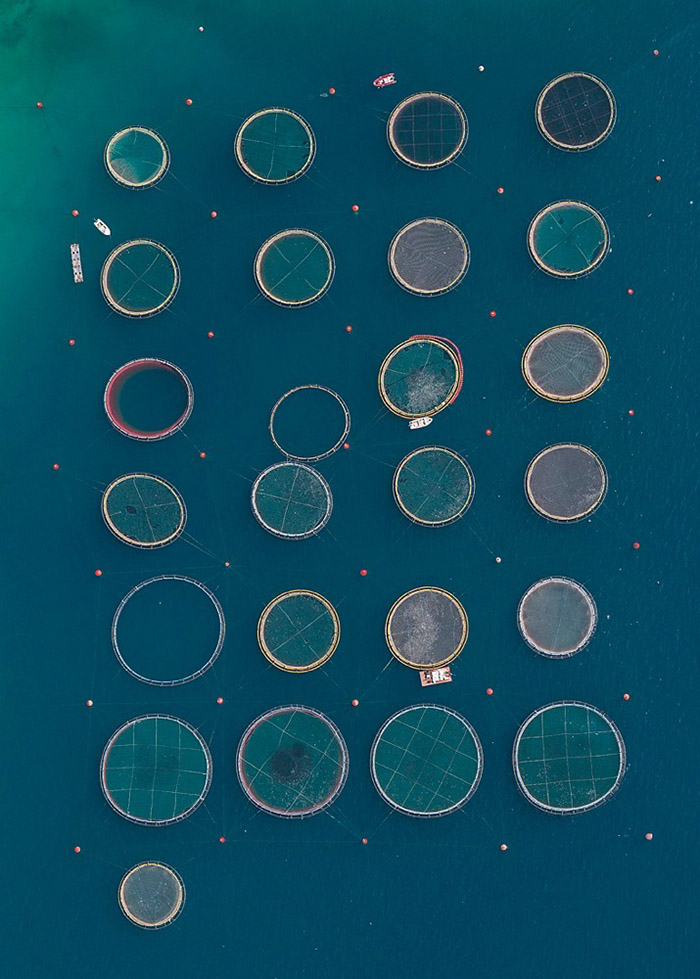 Aerial views of Fish Farms By Bernhard Lang