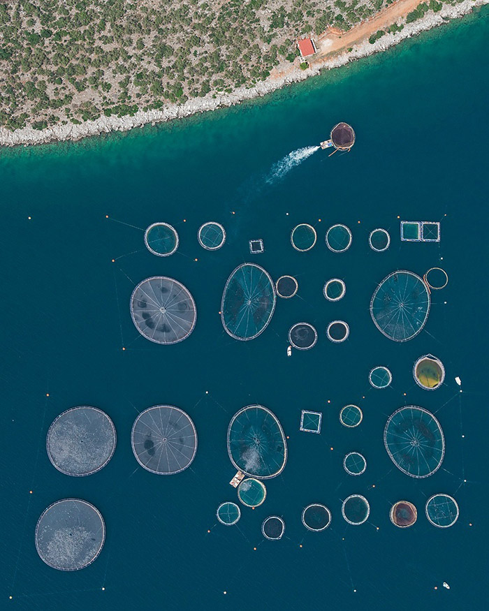 Aerial views of Fish Farms By Bernhard Lang