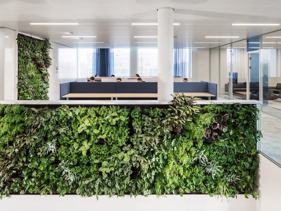 plant wall schouw i29