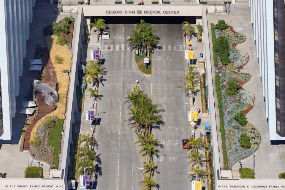 Healing Gardens for Cedars Sinai Medical Center By AHBE Landscape Architects