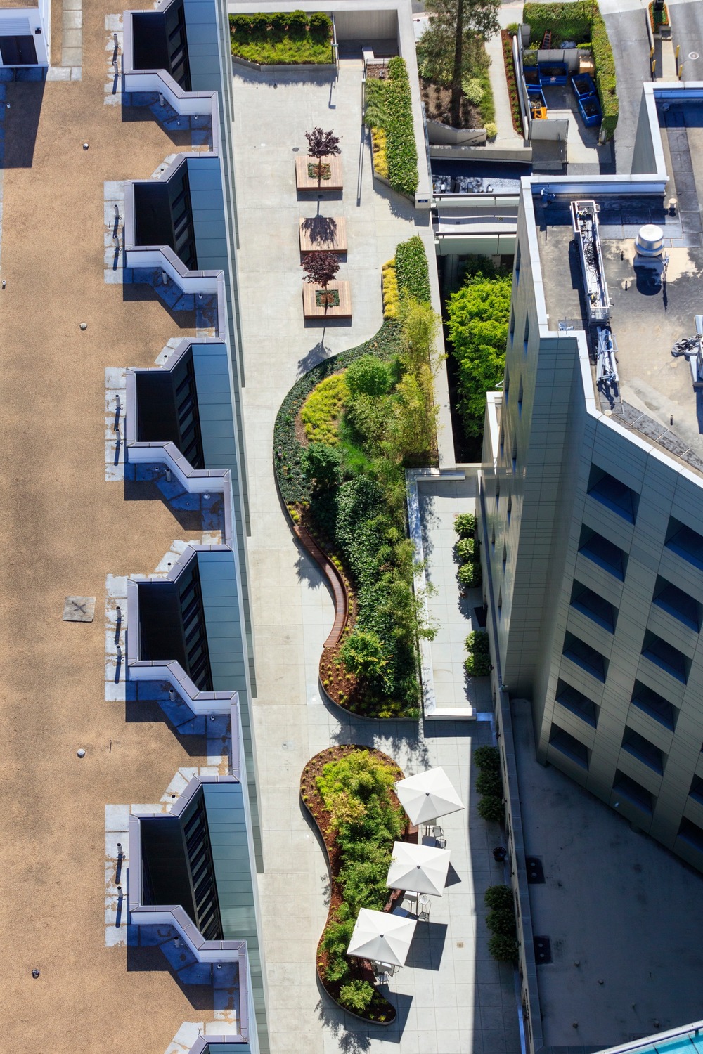 Healing Gardens for CedarsSinai Medical Center By AHBE Landscape