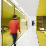 Playster总部办公室，蒙特利尔 / ACDF Architecture
