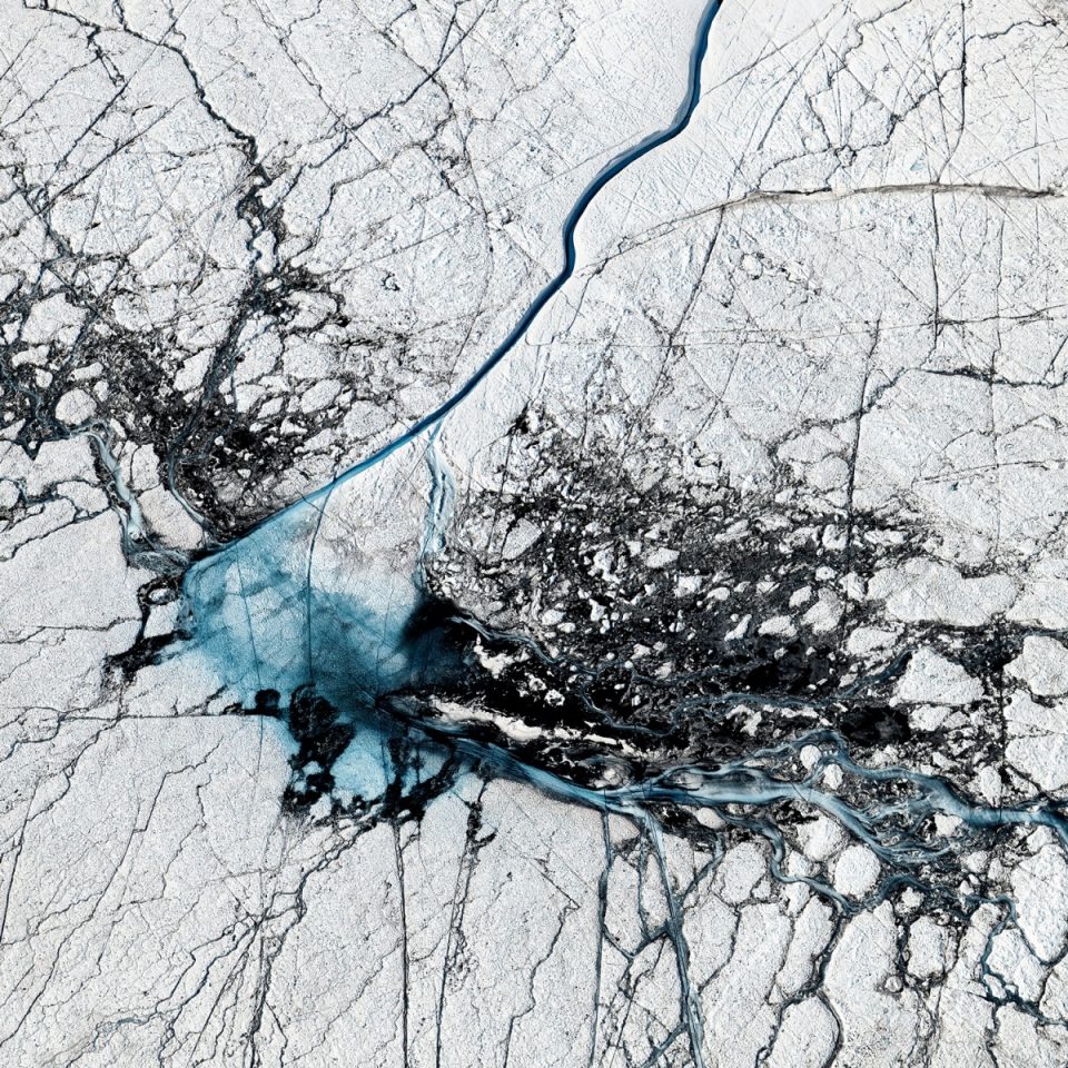 THAW By Timo Lieber