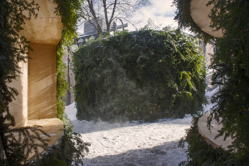 Vive le vent d’hiver By les malcommodes