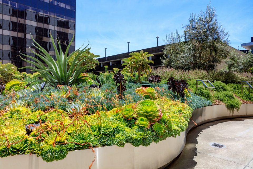 Healing Gardens for Cedars Sinai Medical Center By AHBE Landscape Architects