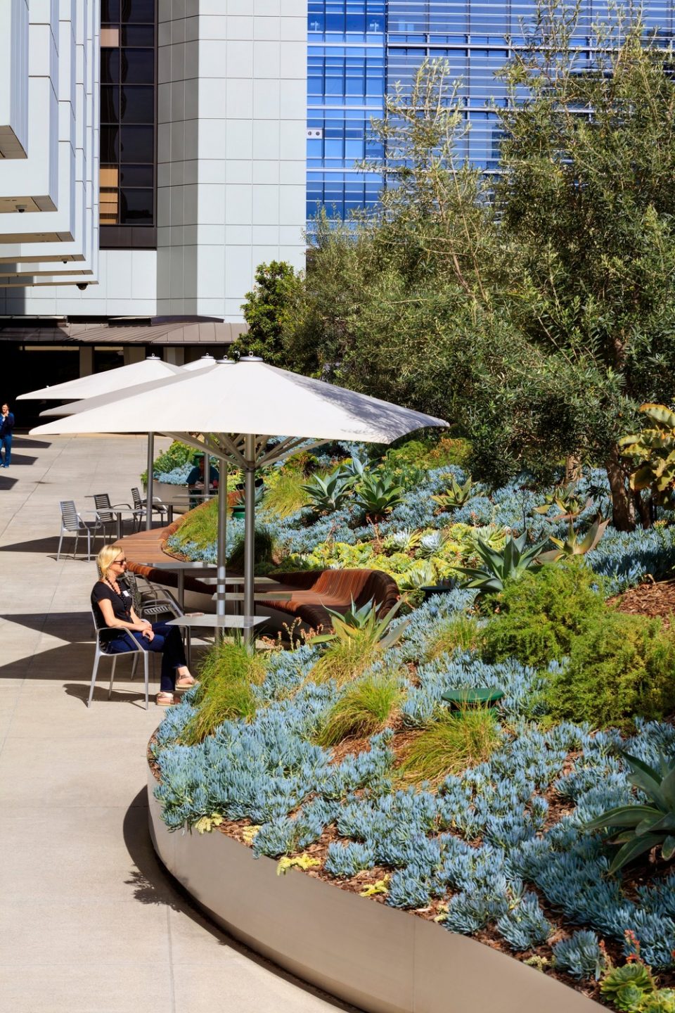 Healing Gardens for Cedars Sinai Medical Center By AHBE Landscape Architects