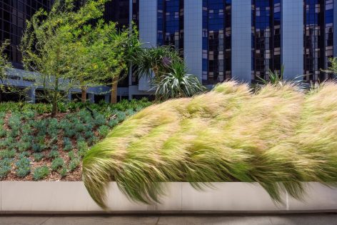 Healing Gardens for Cedars Sinai Medical Center By AHBE Landscape Architects