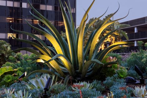 Healing Gardens for Cedars Sinai Medical Center By AHBE Landscape Architects