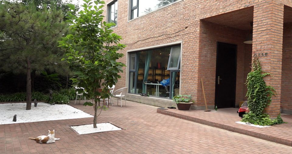 DMLJ office gooood interview li xu