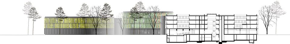 DZNE German Centerby wulf architekten drawing 5 sectional view north