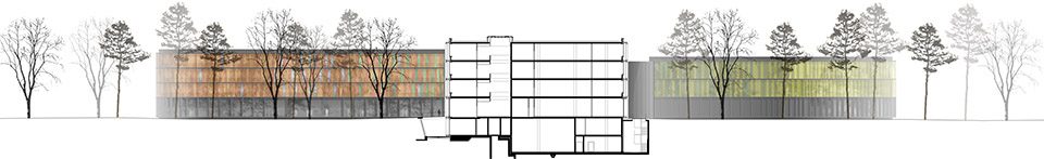 DZNE German Centerby wulf architekten drawing 6 sectional view south