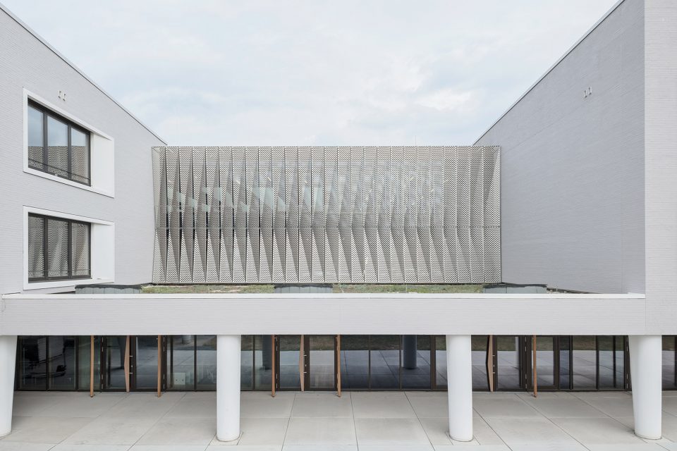Hessenwald School wulf 5