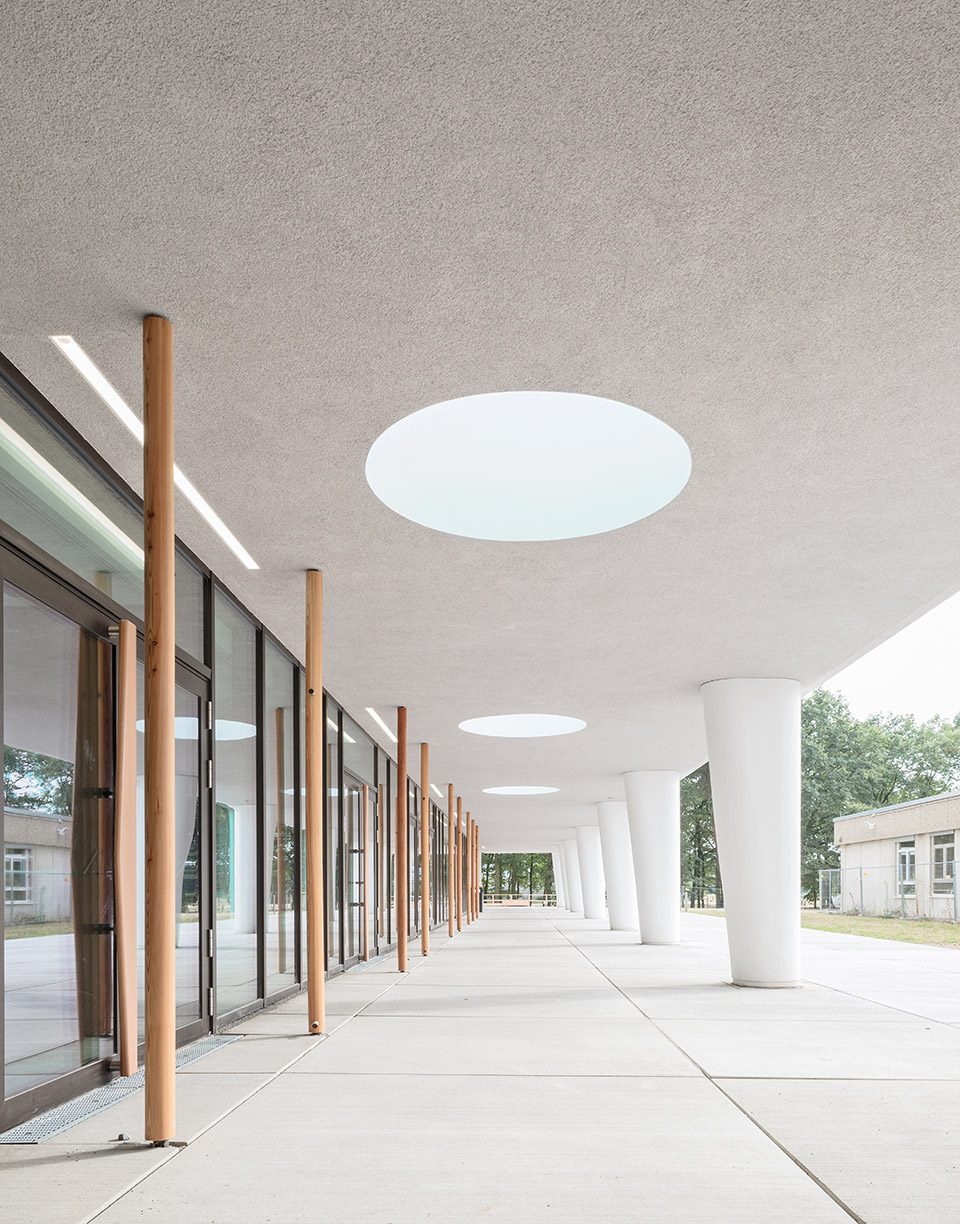 Hessenwald School wulf 6
