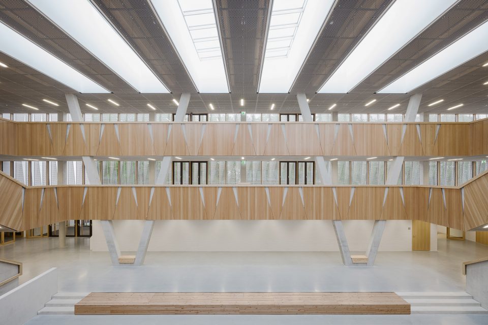 Hessenwald School wulf 8