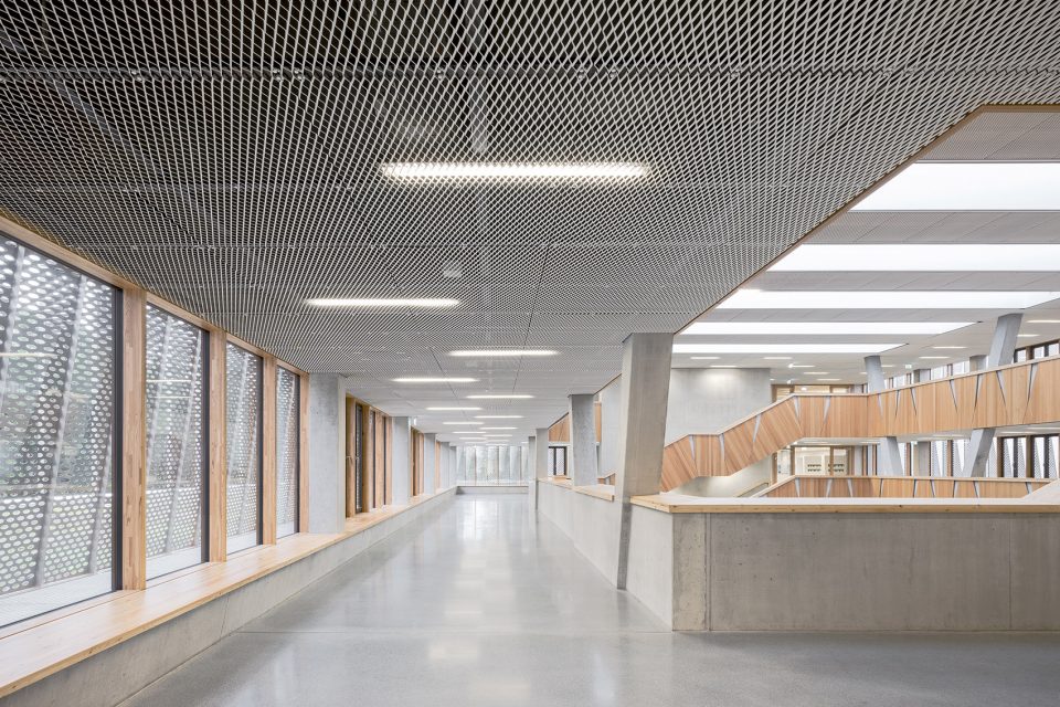 Hessenwald School wulf 9